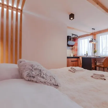 Homestay Orla Village Bukowina